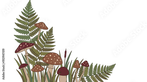 Forest Mushrooms, Ferns, Grass, Cattail Corner Border, Grouped Botanical Illustration for Nature Autumn Woodland Decor, Hand-drawn Earthy Tones Flat Vector Art on White Background with Copy Space.