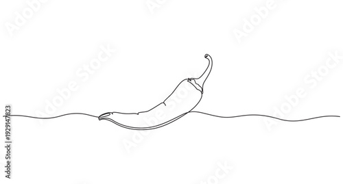 Single line vector illustration of chili pepper. Editable line. Chili Pepper One Line Drawing,Continuous Line Drawing of a Chili Pepper