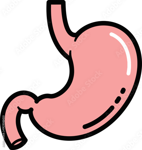Simplified vector illustration of a human stomach in a soft coral pink hue with black outlines, representing digestion.