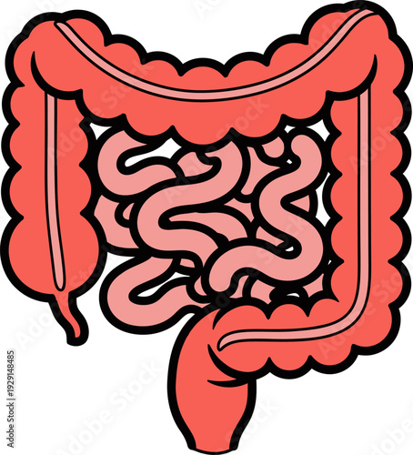 Stylized illustration of the human intestines, depicted as a simplified anatomical organ in coral pink and dark outline.
