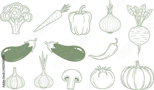 Vegetable illustrations with various produce