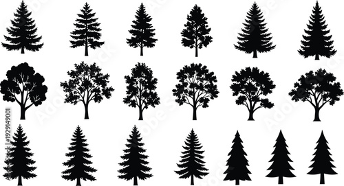 Tree silhouette set, pine and deciduous forest collection isolated on white background, nature landscape elements, cad drawing flat vector illustration, botanical outdoor graphics