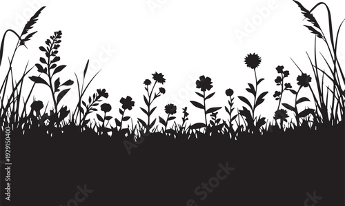 Grass and flowers silhouette vector illustration, spring or summer field with herbs