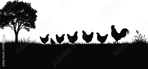 Black silhouettes of chickens and rooster with tree on white background grass