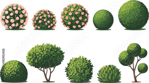 Garden bush and ornamental shrub collection isolated on white background, detailed green landscape plants vector illustration set