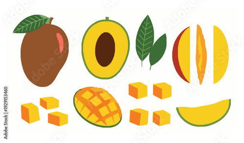 Mango tropical fruit vector elements for wallpaper isolated EPS 10