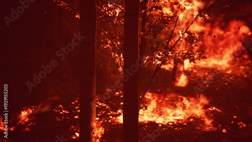Schilderij op canvas Flames engulf trees in a forest as wildfire rages, creating an eerie glow in the evening sky