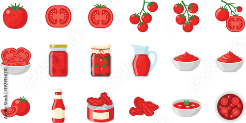 Tomato Food Vector Collection with Fresh Tomatoes, Cherry Tomatoes, Sauce, Ketchup, Juice and Preserved Products Set