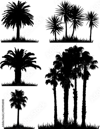   black silhouettes of palm trees on a white background