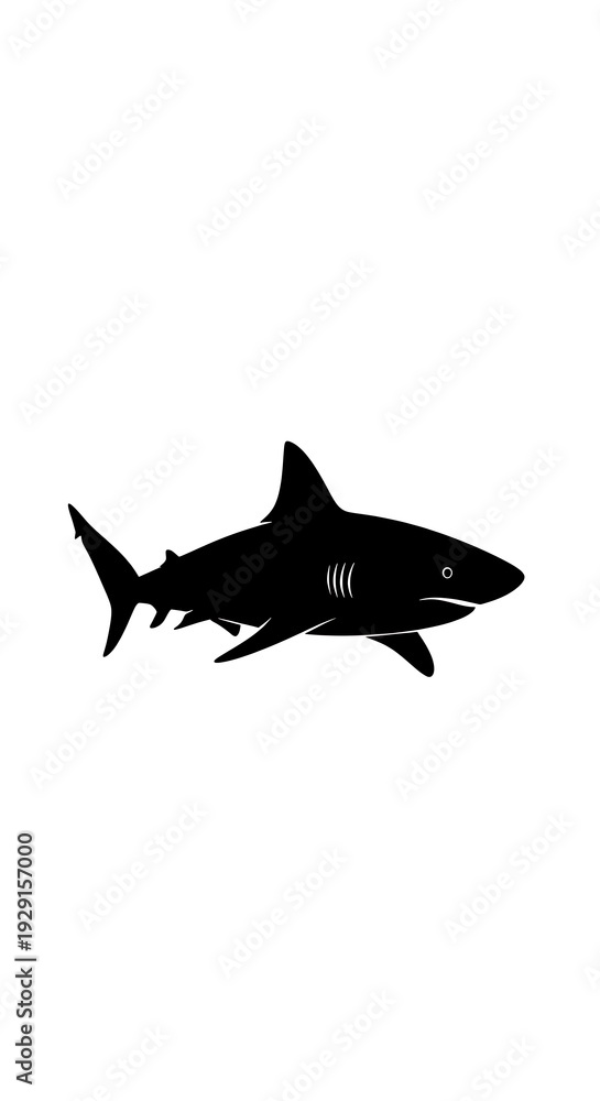 Fototapeta premium Black silhouette of a shark swimming.