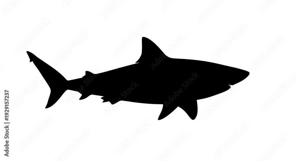 Fototapeta premium Black silhouette of a shark swimming.