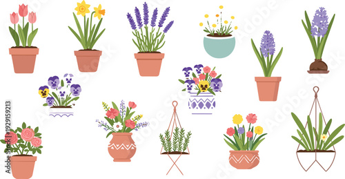 Colorful Spring Flower Pots Vector Set with Tulips, Daffodils, Lavender, Hyacinth and Blooming Plants in Decorative Planters