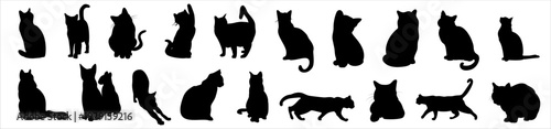   black cat silhouettes in various poses on a white background