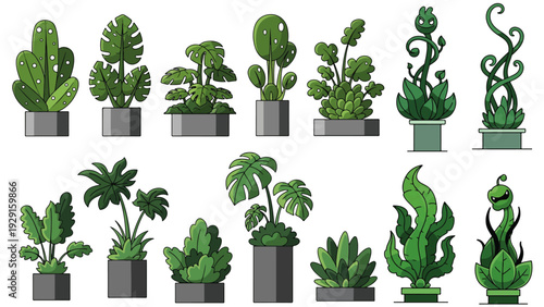 Indoor Monstera Plant Design Vector Illustration, Creative Greenhouse Cactus, Palm, Fern, and Foliage for Home Decor Ideas.