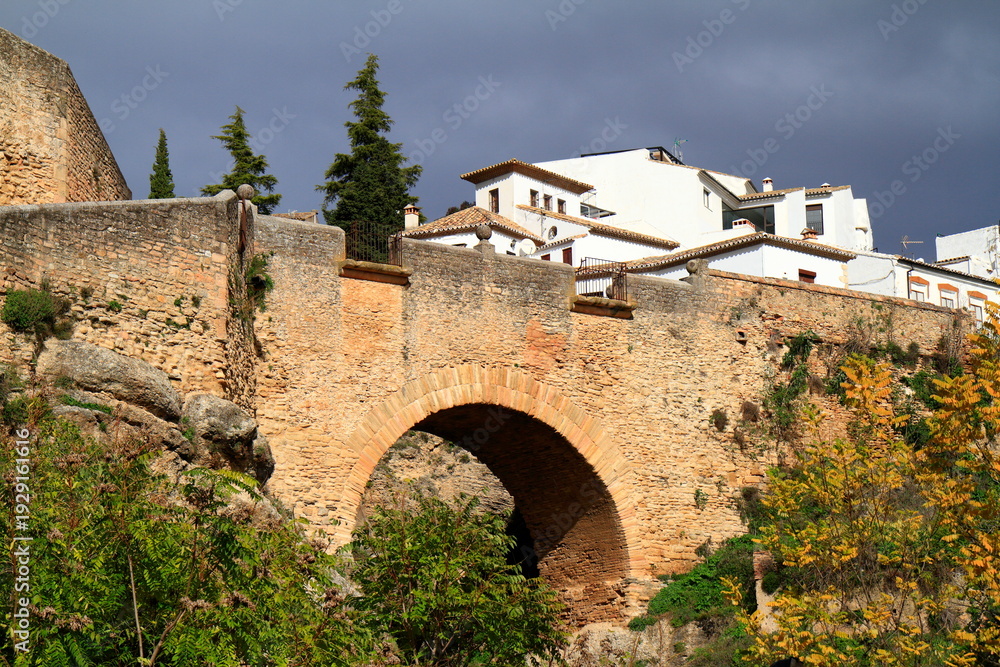Fototapeta premium Historic Stone Arch Bridge and White Hilltop Houses in Ronda