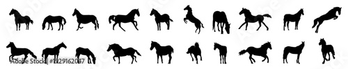   black horse silhouettes in various poses and movements