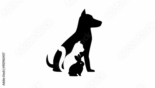 A dog and a cat sit together in profile on a plain surface looking right
