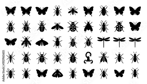 Insect silhouettes of various bugs and butterflies are displayed.