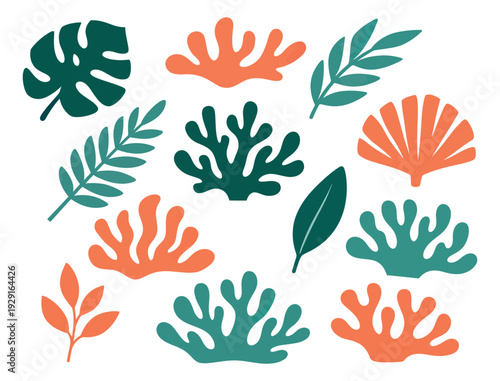 Abstract graphic botanical and marine elements set featuring tropical leaves, coral shapes, and a seashell for summer design