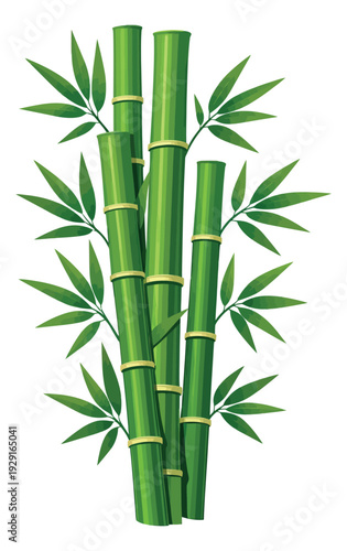 Stylized bamboo set featuring green stalks and leaves for natural decoration
