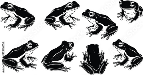 Tree frog silhouette vector set, amphibian wildlife illustration, tropical rainforest animal, nature biology study, exotic species design, black white graphic