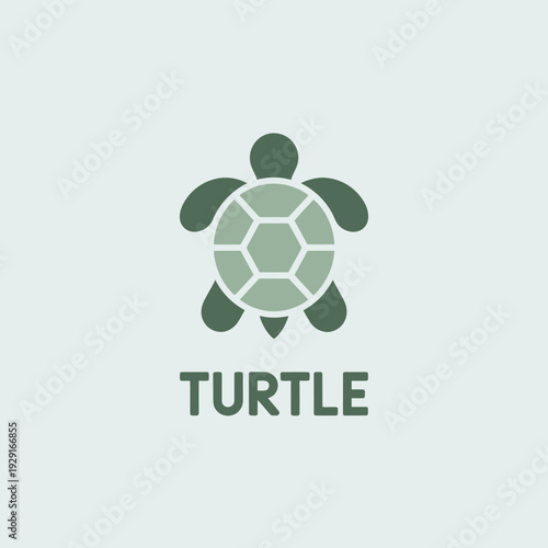 Simple green turtle logo with geometric shell and text below