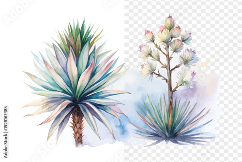 Watercolor Yucca Blossom, Southwestern Floral Vector Isolated on White