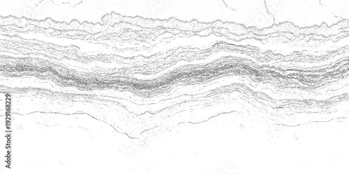 Detailed grayscale abstract representation of layered geological strata or seismic data monochrome texture
