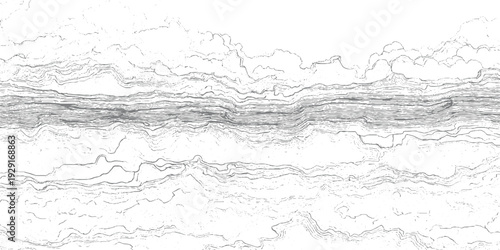 Abstract topographic contour lines in gray and white