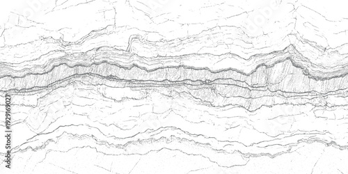 Detailed monochrome abstract pattern resembling geological strata or topographical map lines texture