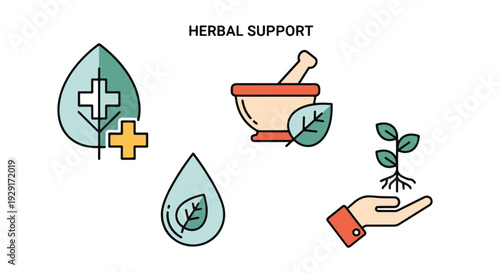Herbal Support Line creative color design