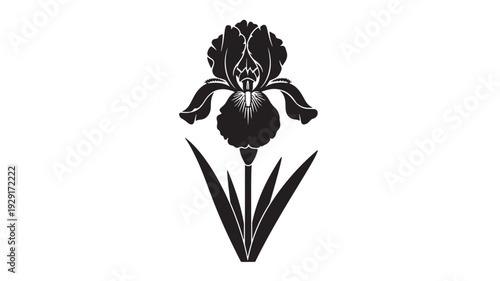 Iris flower silhouette with elegant petals and long leaves, black botanical stencil icon isolated on white background
