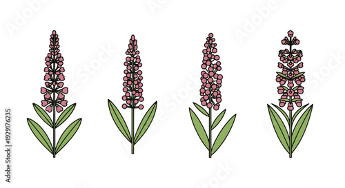 Milkweed Line art clean creative tone vector