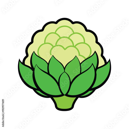 Green artichoke vector illustration on white background