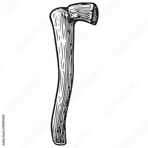 Vintage Primitive Wooden Club Engraved Hunting Weapon Survival Tool Line Art Illustration