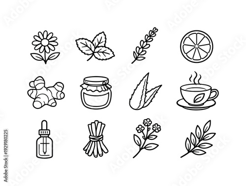 Botanical Remedy Icons. botanical remedies theme. Line outline icon set of botanical remedies theme: chamomile