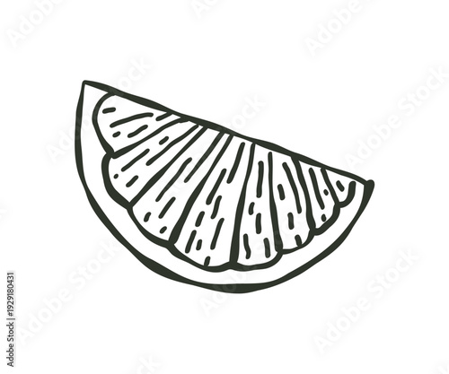 Whimsical slice fresh orange fruit. Doodle hand drawn natural healthy fresh food.