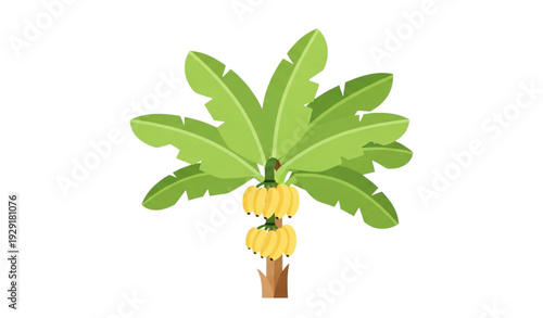 A minimalist vector illustration of a papaya tree with green leaves and yellow fruit