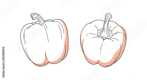 Simple line art illustration of two bell peppers showing the top and side views with subtle pink shading on one side.