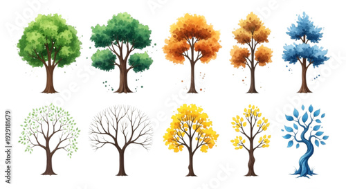 Ornamental shrub and tree set for modern garden layout drawing