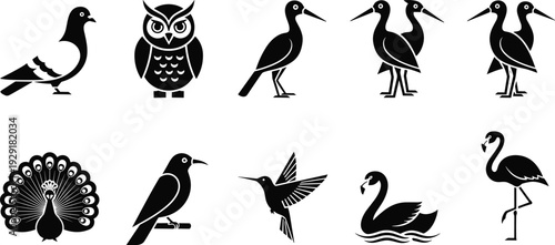 Bird icons collection, black silhouette vector set including owl, peacock, flamingo, swan, hummingbird and pigeon isolated on white background
