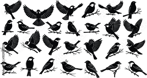 Bird silhouette collection vector set, small songbirds perched and flying on branches, black and white woodland wildlife illustration bundle