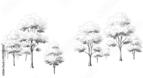 Ornamental shrub and tree set for modern garden layout drawing
