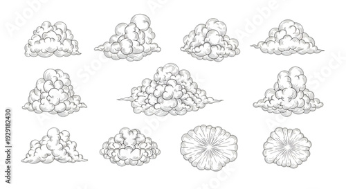 Ornamental shrub and tree set for modern garden layout drawing