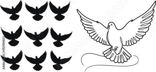 Dove Silhouette and Outline Set Flying Peace Bird Collection Isolated on White Background Vector Illustration