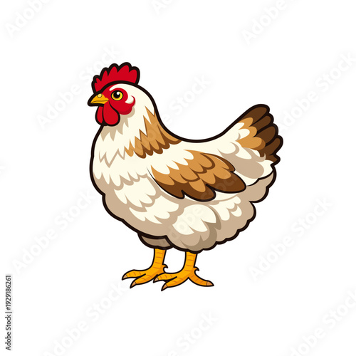 Chiken Illustration