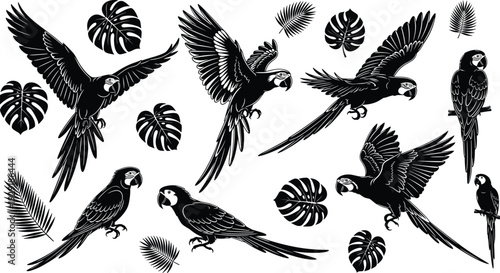 Parrot silhouette vector collection, tropical macaw birds flying and perched with palm and monstera leaves, black and white exotic wildlife illustration set