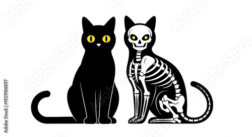 Two cats, one black with yellow eyes and the other a skeleton, sit side by side against a white background.