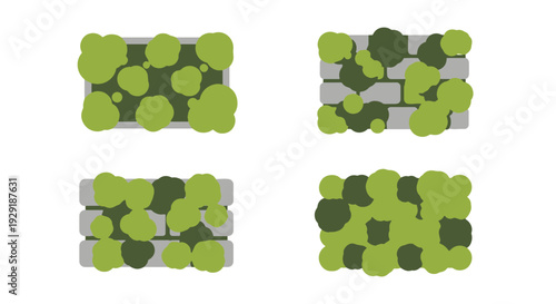 Moss Wall Line art modern bold tone illustration
