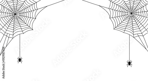 Two detailed spider webs with small spiders hanging down on white background.